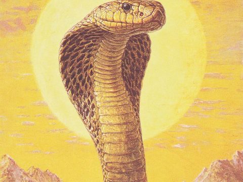 Chant The Navnag Mantra To Get Protection From Black Magic & Evil Powers