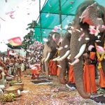 Pray To The Elephant And Get Blessings Of Supreme Strength