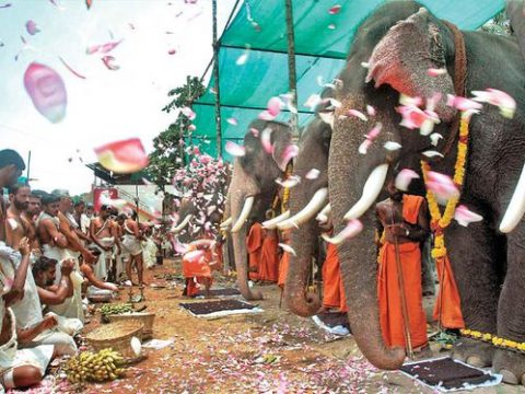 Pray To The Elephant And Get Blessings Of Supreme Strength
