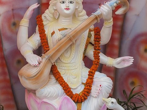 Want Career Success? Worship Goddess Of Knowledge Saraswati