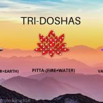 Balance Your Tridosha To Live A Disease-free Wholesome Life