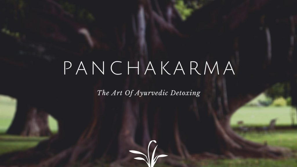 Experience Panchakarma Ayurvedic Treatment: The Ancient Body Detoxifying Therapy