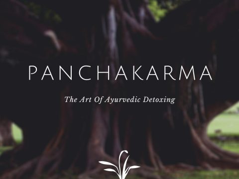 Experience Panchakarma Ayurvedic Treatment: The Ancient Body Detoxifying Therapy