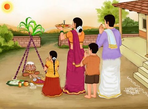 Pongal- The Thanksgiving Harvesting Festival Of Tamil Nadu