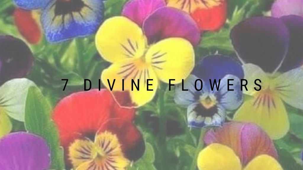 7 Divine Flowers You Must Include While Worshipping Hindu Deities
