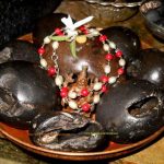 Did You Know- Worshipping A Shaligram Can Bring You Great Fortune?