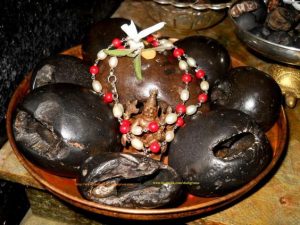 Did You Know- Worshipping A Shaligram Can Bring You Great Fortune?