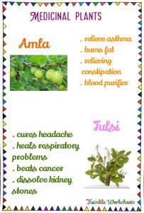 Offer Amla Tulsi To Lord Vishnu And Bring Harmony In Life Dharma WeRIndia