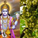 Amalaki Ekadashi: A Path To Renewal And Hope