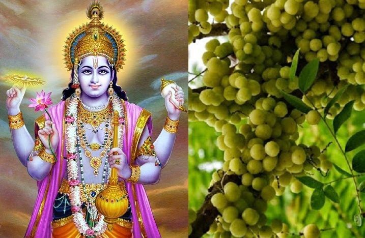 Amalaki Ekadashi: A Path To Renewal And Hope