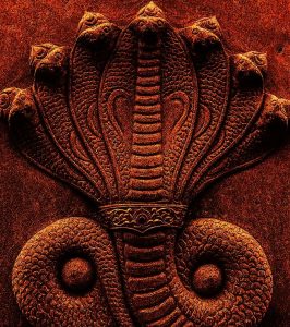 Offer Milk & Flower On Nag Panchami For Fertility And Protection