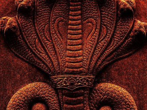 Offer Milk & Flower On Nag Panchami For Fertility And Protection