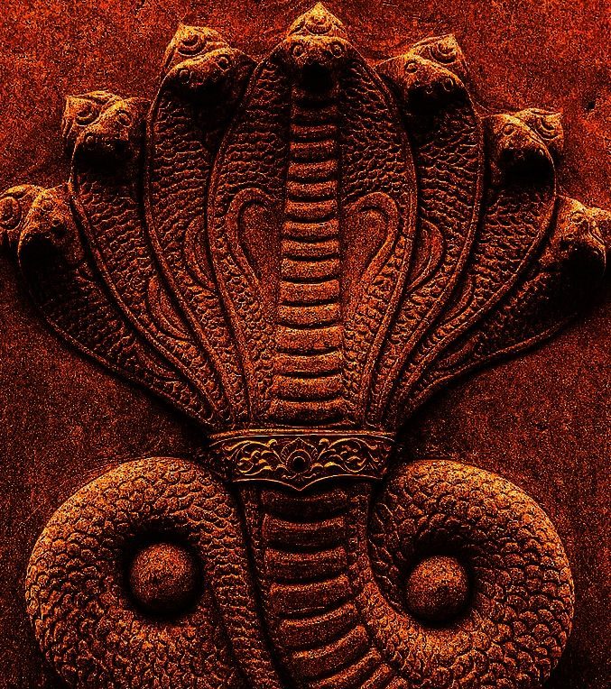 Offer Milk & Flower On Nag Panchami For Fertility And Protection