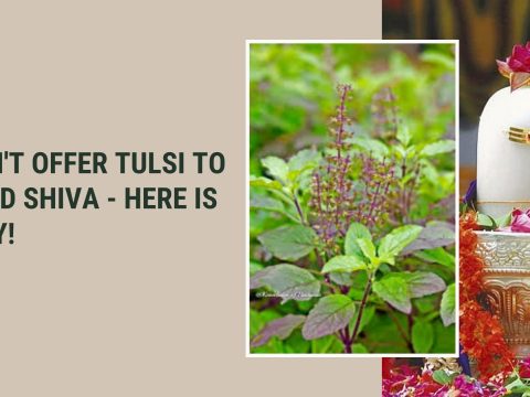 Don't-Offer-Tulsi-To-Lord-Shiva-Here-Is-Why-Dharma-WeRIndia