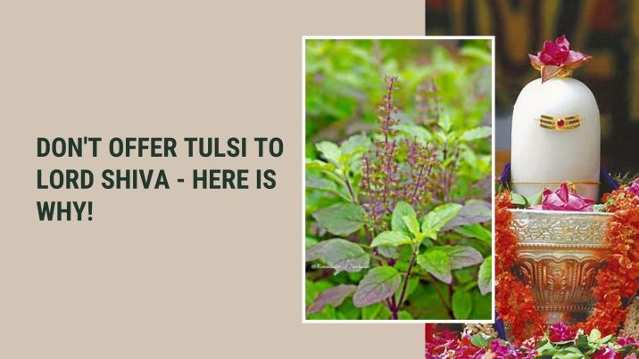 Don't-Offer-Tulsi-To-Lord-Shiva-Here-Is-Why-Dharma-WeRIndia