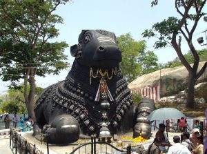 How Did Nandi Earn His Divine Status Beside Shiva In Hindu Mythology?