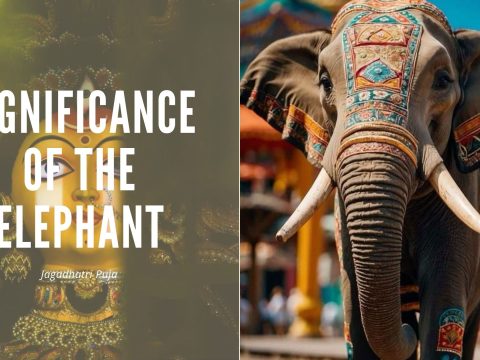 The Significance Of The Elephant In Jagadhatri Puja