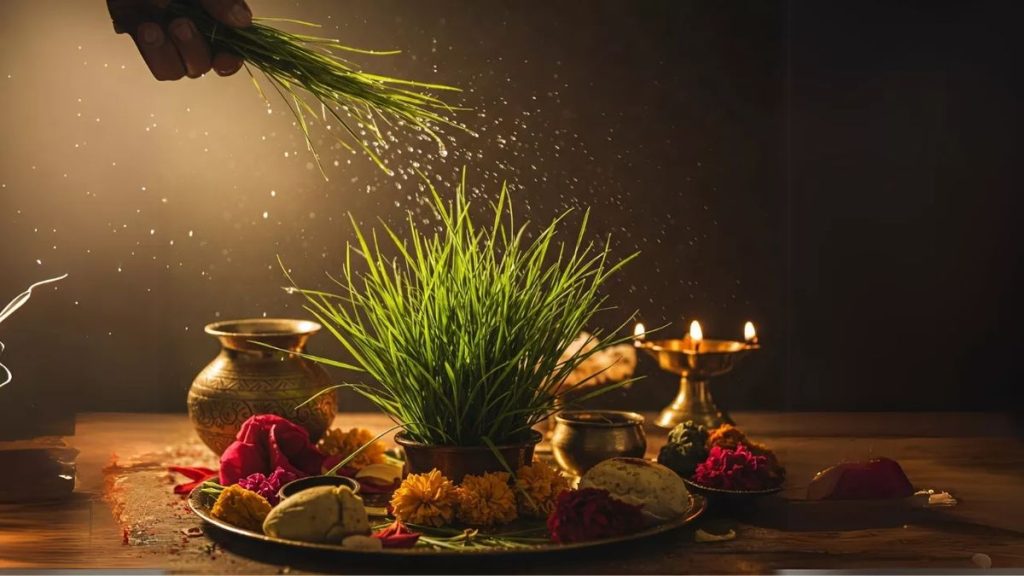 Use Kusha Grass For Spiritual Protection And Home Purification