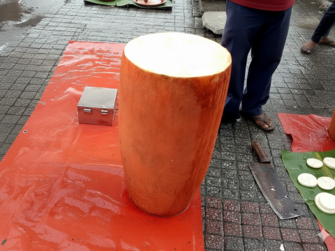 How Lord Ram's Favorite Ram Kand Mool Can Detoxify Your Health? Let's Explore.