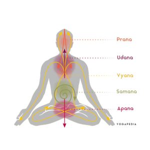 Practice Prāna Daily To Boost Energy, Reduce Stress & Heal Naturally