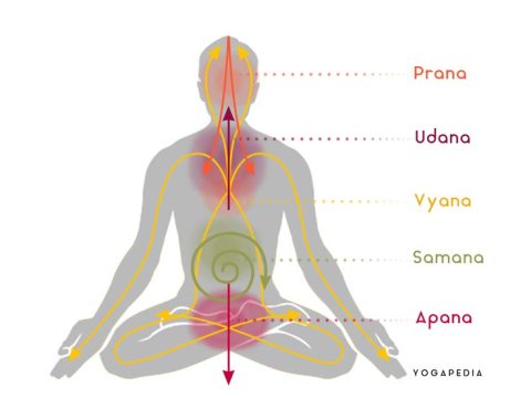 Practice Prāna Daily To Boost Energy, Reduce Stress & Heal Naturally