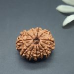 Wear The Powerful 11 Mukhi Rudraksha And Gain Courage Under Shiva's Protection