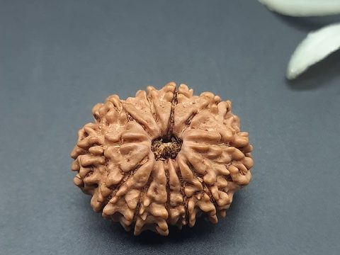 Wear The Powerful 11 Mukhi Rudraksha And Gain Courage Under Shiva's Protection